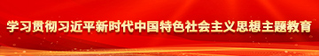 操也逼视频学习贯彻习近平新时代中国特色社会主义思想主题教育